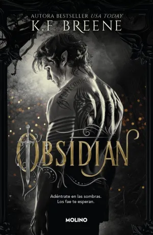 LOS FAE DE LAS SOMBRAS 01 - OBSIDIAN