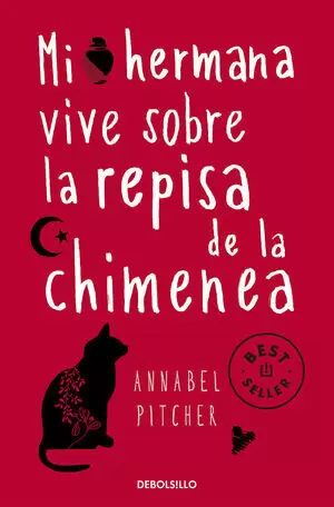 MI HERMANA VIVE SOBRE LA REPISA DE LA CHIMENEA