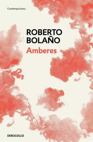 AMBERES - BOLSILLO