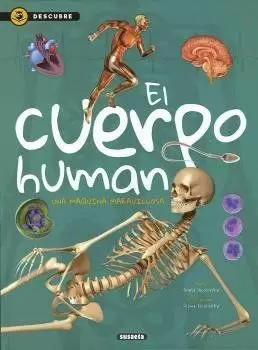 DESCUBRE - EL CUERPO HUMANO