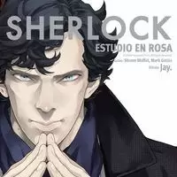 SHERLOCK - ESTUDIO EN ROSA