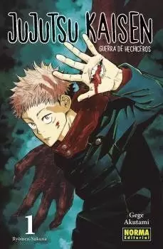 JUJUTSU KAISEN 01 - RYOMEN-SUKUNA