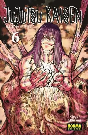 JUJUTSU KAISEN 06 - EL DESTELLO OSCURO